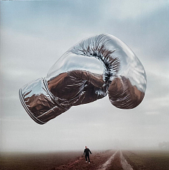 Виниловая пластинка Bryan Adams – Roll With The Punches (coloured) LP