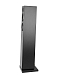 Портативная колонка Audio Pro Addon T20 Black - рис.2