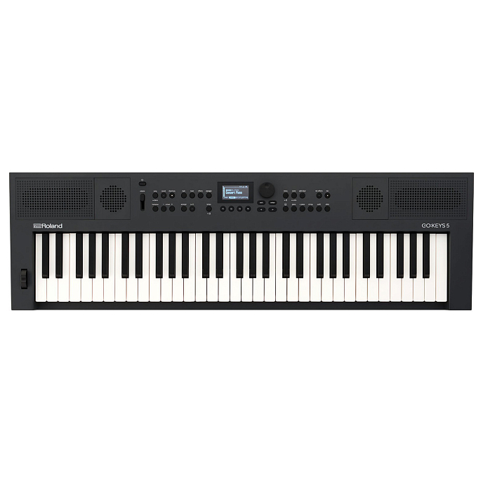 Синтезатор Roland Go: Keys-5-GT Graphite - рис.0