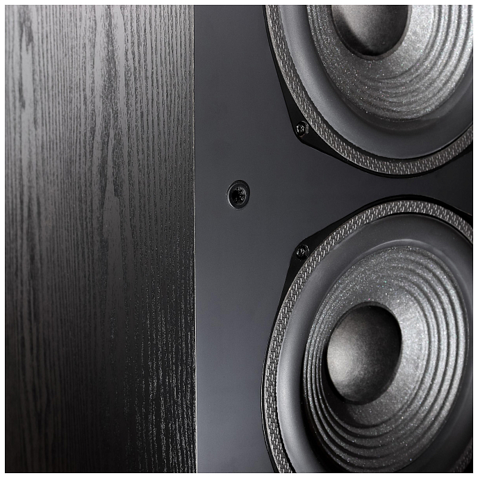 Напольная акустика Radiotehnika Sigma 1.02 Black Ash - рис.7