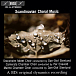 Виниловая пластинка Scandinavian Choral Music CD - рис.0
