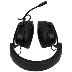 Наушники полноразмерные Rapoo VH300S Black