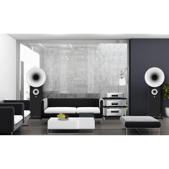 Интегральный усилитель Esoteric F-02 Silver - рис.4