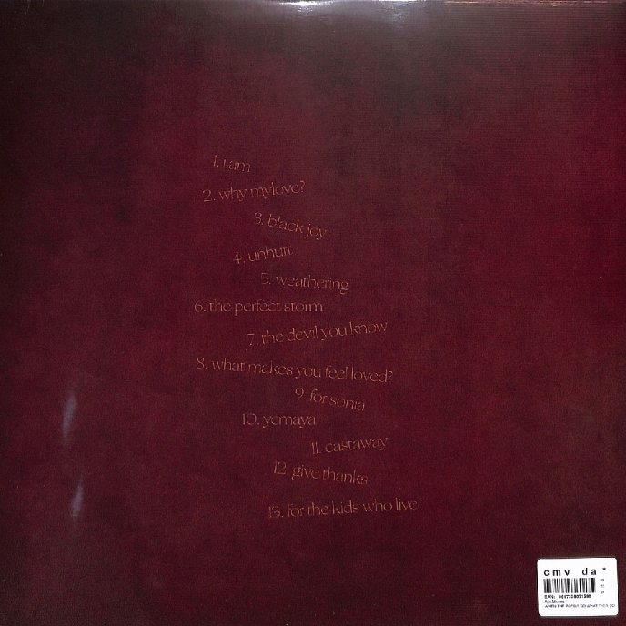 Виниловая пластинка Aja Monet - When The Poems Do What They Do - 2LP - рис.1