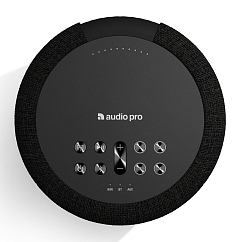 Портативная колонка Audio Pro A10 MKII Black