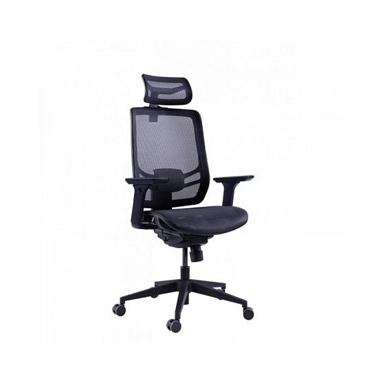 Компьютерное кресло GTChair InFlex X Black - рис.0