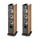 Напольная акустика Focal Aria 926 Prime Walnut - рис.2