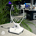 Беспроводные наушники Aurica TV Wireless - рис.1 Беспроводные наушники Aurica TV Wireless - рис.1