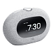 Портативная колонка JBL Horizon 3 Gray - рис.1
