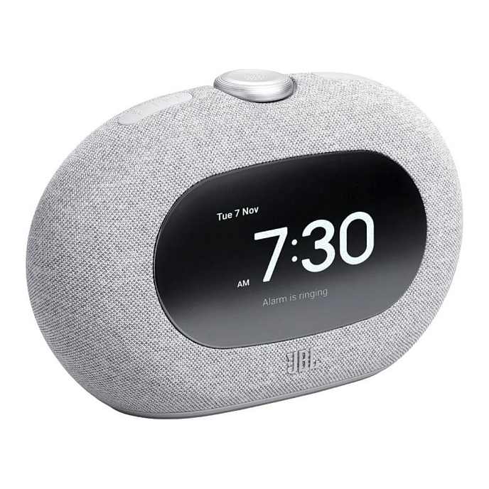 Портативная колонка JBL Horizon 3 Gray - рис.1