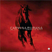 Виниловая пластинка Carl Orff; Simon Rattle; Berliner Philharmoniker; Sally Matthews; Lawrence Brownlee; Christian Gerhaher - Carmina Burana - рис.0