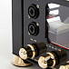 Усилитель для наушников AudioValve RKV Mark III Black / Gold - рис.14
