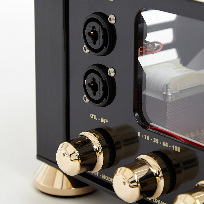 Усилитель для наушников AudioValve RKV Mark III Black / Gold - рис.14