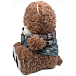 Портативная колонка Ritmix ST-150 Bear Brown - рис.3