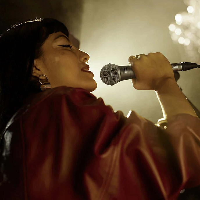 Микрофон вокальный Shure Beta 58A - рис.5