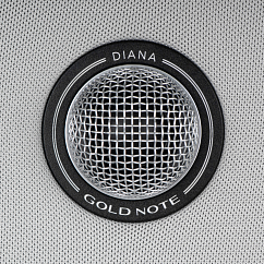 Центральный канал Gold Note Diana Center Silver Silver