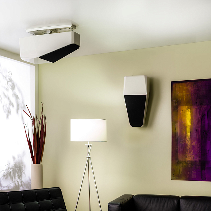 Настенная акустика Wilson Audio Alida Carbon - рис.2