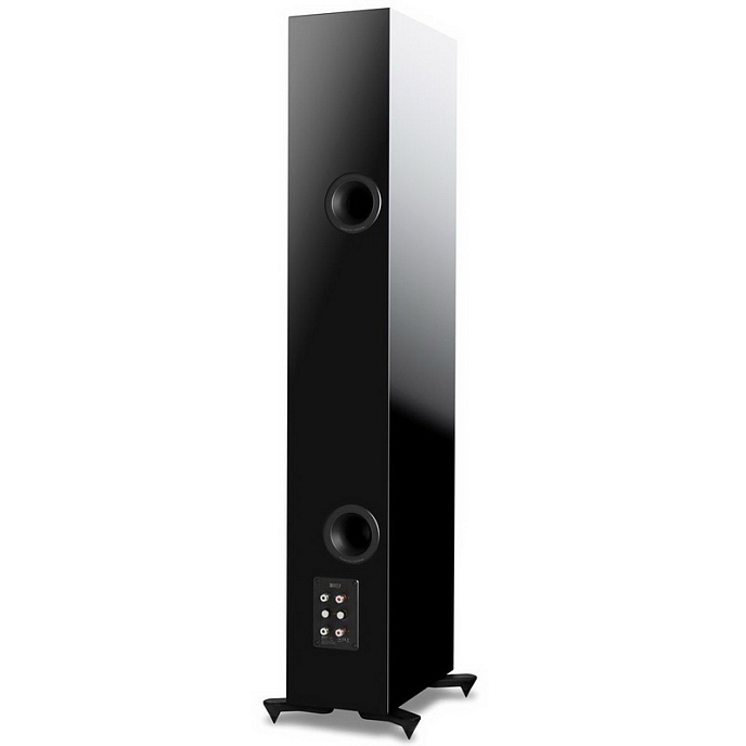 Напольная акустика KEF R11 Gloss Black - рис.3
