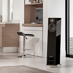Напольная акустика PMC Twenty5 24i Diamond Black