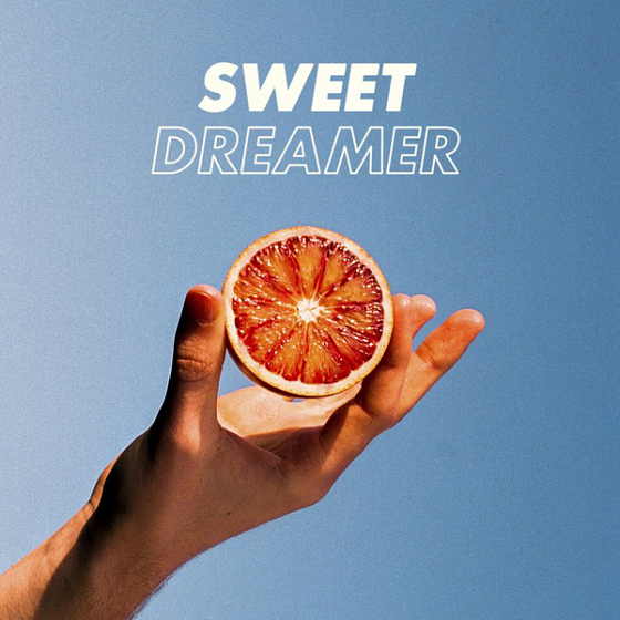 Пластинка Will Joseph Cook - Sweet Dreamer - рис.0