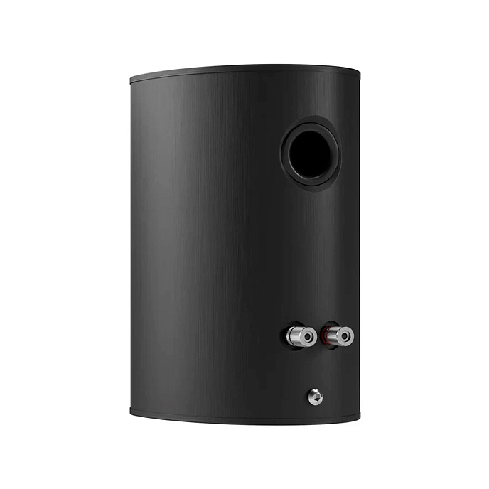 Полочная акустика Piega Ace 30 Black - рис.3