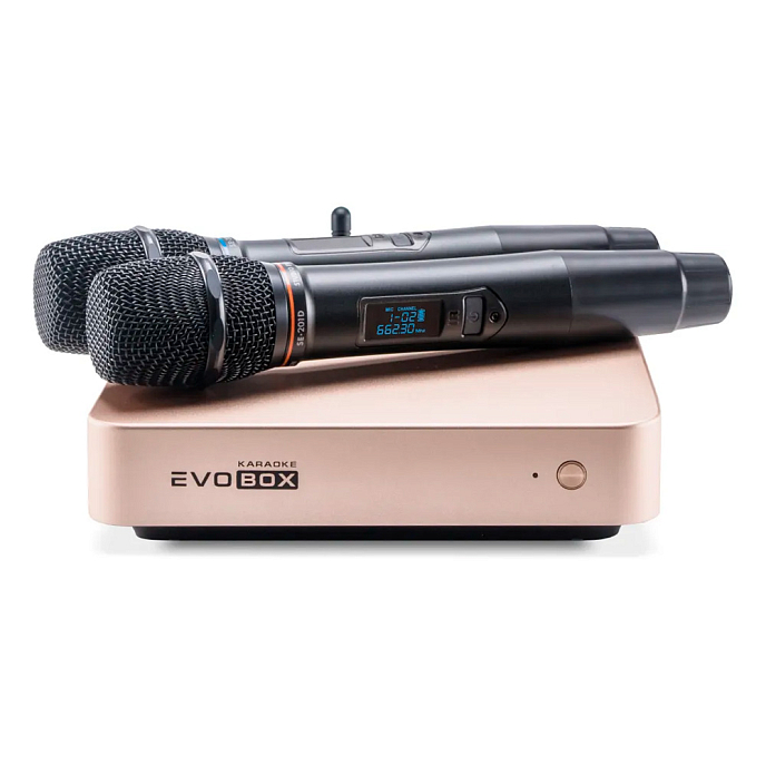 Караоке-система Studio Evolution EVOBOX Plus Gold - рис.0