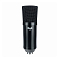 CAD U29 Black