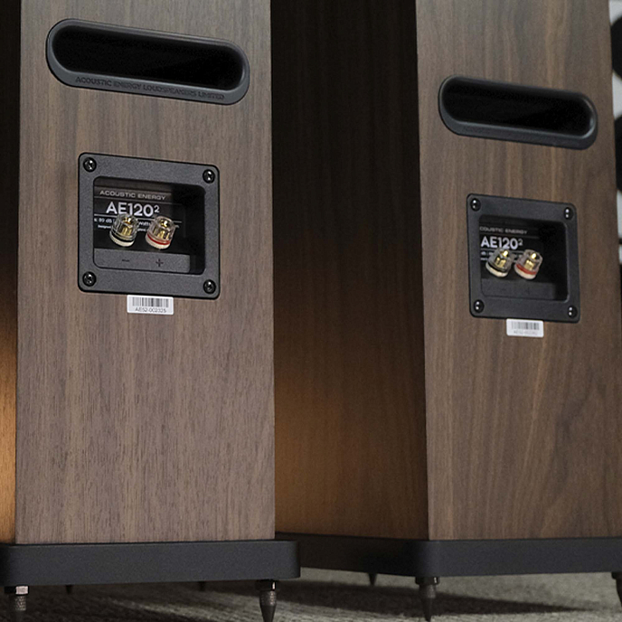 Напольная акустика Acoustic Energy AE120-2 Walnut - рис.4