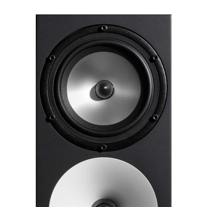 Студийный монитор Amphion Two15 Black - рис.3