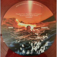 Виниловая пластинка Bonobo – Fragments Вeluxe Сlear LP