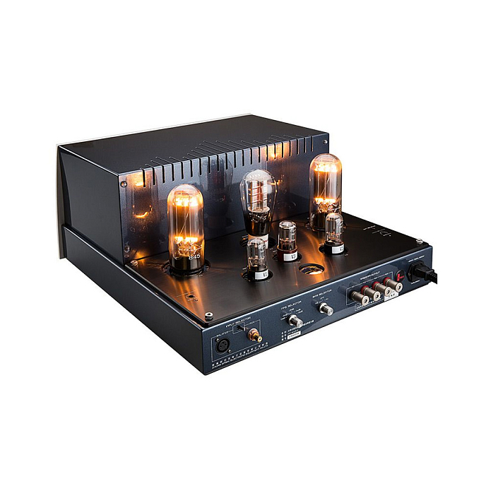 Усилитель мощности Cayin M-845D - рис.4