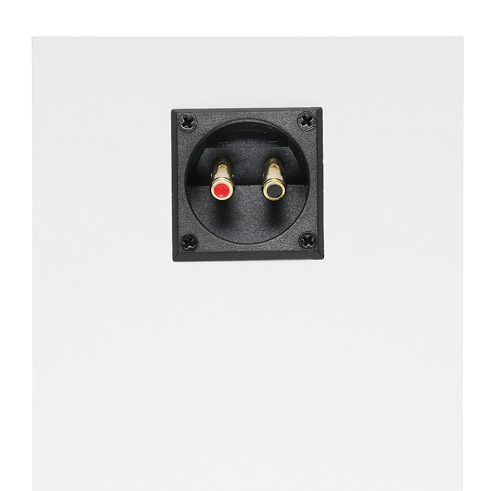 Настенная акустика Dali ALTECO C-1 White - рис.4