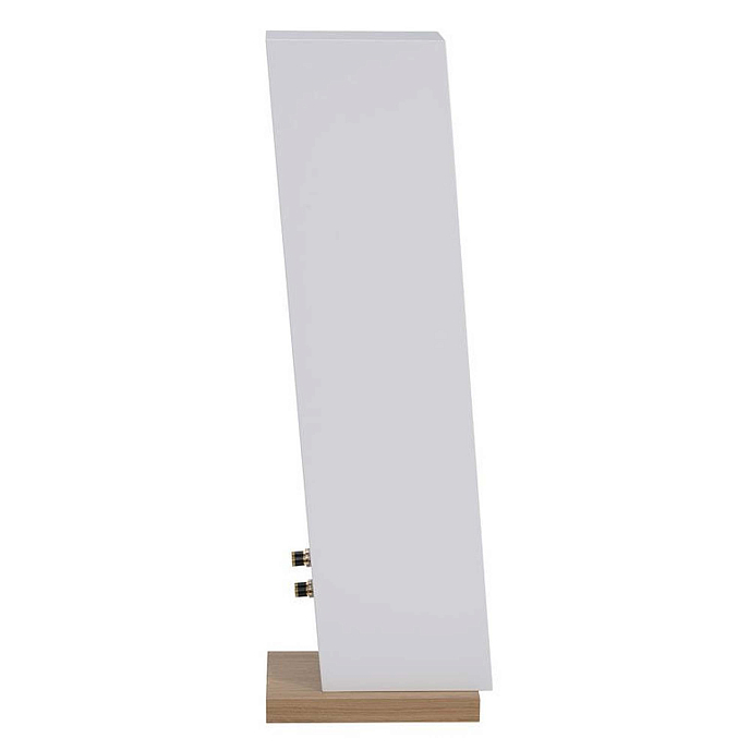 Напольная акустика Davis Acoustics Courbet N 5 White Matte - рис.4