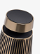 Акустическая система Bang & Olufsen BeoSound 2 Gold Tone - рис.4