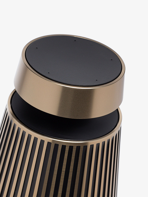 Акустическая система Bang & Olufsen BeoSound 2 Gold Tone - рис.4