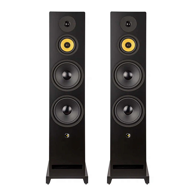 Напольная акустика Davis Acoustics Krypton N 10 Technik Black - рис.0
