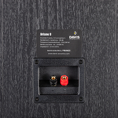 Напольная акустика Davis Acoustics Ariane 9 Black