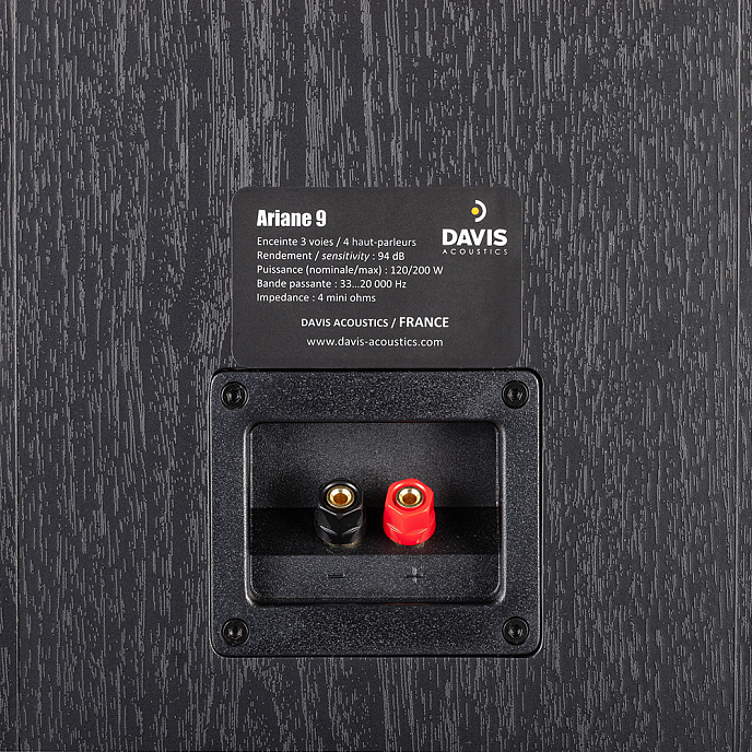 Напольная акустика Davis Acoustics Ariane 9 Black - рис.3