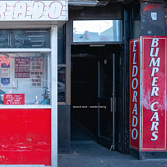 Виниловая пластинка DaRand Land - Wander Being - 2LP