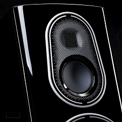 Напольная акустика Monitor Audio Platinum 200 3G Piano Black