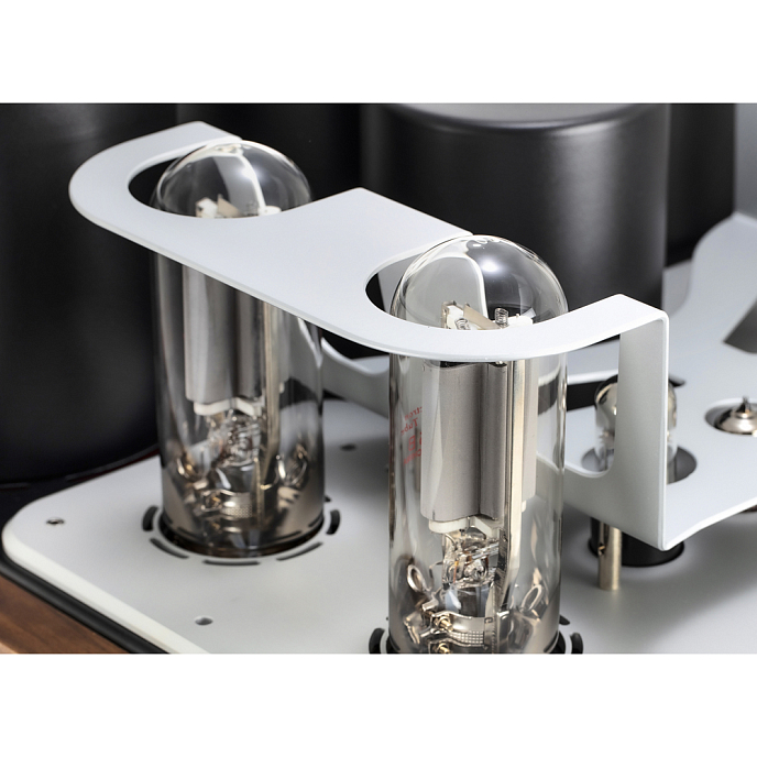 Интегральный усилитель Mastersound Evolution 845 Black Wood - рис.11