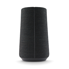 Портативная колонка Harman Kardon Citation 100 Black
