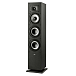 Напольная акустика Polk Audio Monitor XT60 Black - рис.1