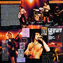 Виниловая пластинка AC/DC - If You Want Blood You've Got It LP