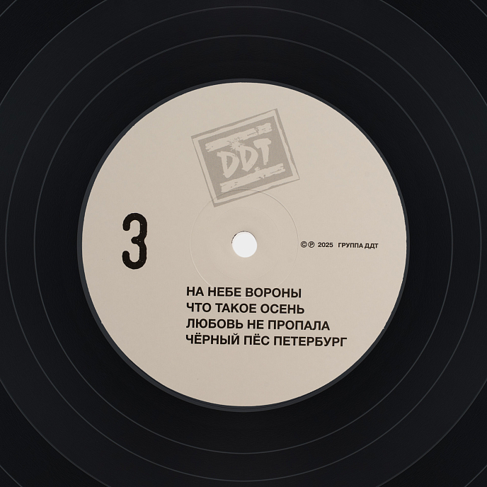 Виниловая пластинка Юрий Шевчук, ДДТ – Сборник Песен №1 - 2LP - рис.5