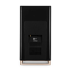 Полочная акустика Triangle CAPELLA Black Star