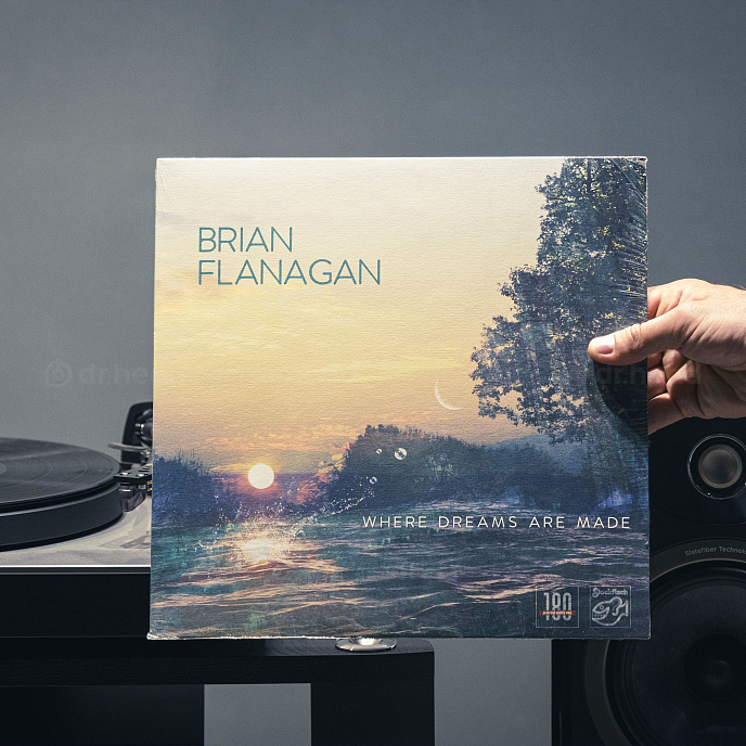 Виниловая пластинка Brian Flanagan - Where Dreams Are Made LP - рис.1