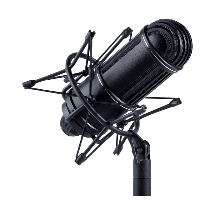 Микрофон Октава MЛ-52-02 ФДМ1-01 Black - рис.2