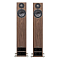 PMC Twenty5.24 Walnut