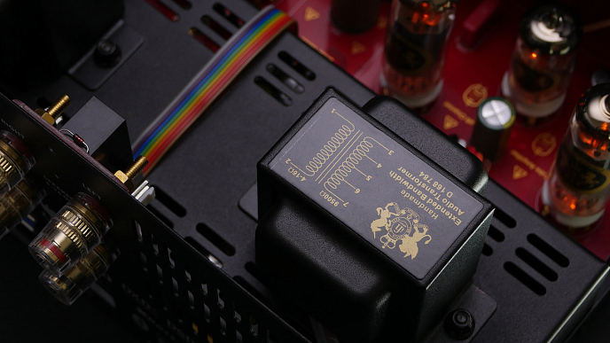 Интегральный усилитель iFi Audio RETRO STEREO 50 - рис.12